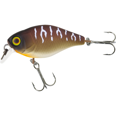 Воблер Jackall Chubby 41 SR Silent цвет bug tiger