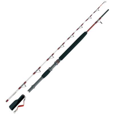 Удилище WFT Soroya Special 200-600g, 2tlg.2,10m (1D-B 979-030)