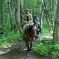 Брюки Sitka Timberline Pant цв. Moss р. 30X31