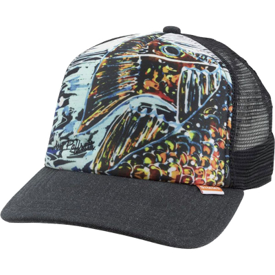 Кепка Simms Artist Foam Trucker, Black