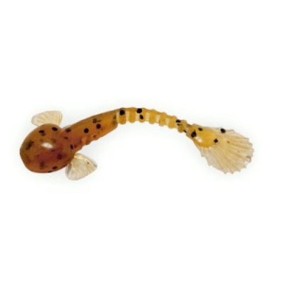 Мягкая приманка Fanatik Goby 2.0" цв. 002 