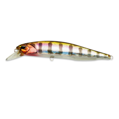 Воблер DUO Realis Jerkbait 100SP цв. #D58
