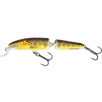 Воблер Salmo Fanatic 70F цв. T 