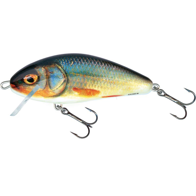Воблер Salmo Fatso Crank C 100 цв. RR 