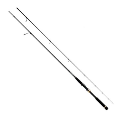 Спиннинг Daiwa Morethan AGS 92L