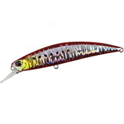 Воблер DUO Spearhead Ryuki 110S SW #CPA0384