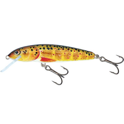Воблер Salmo Minnow 90F цв. T 
