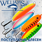 Поступление блесен Williams Wabler
