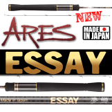 Ares Essay
