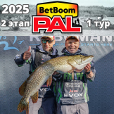 Турнир BetBoom PAL-2025. 2 этап. 1-ый тур