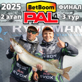 Турнир BetBoom PAL-2025. 2 этап. 3 тур. Финал!