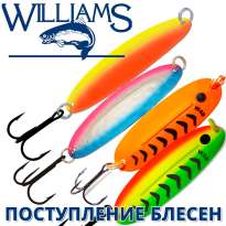 Поступление блесен Williams Wabler