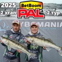 Турнир BetBoom PAL-2025. 2 этап. 2-ой тур