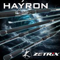 Удилища Hayron от Zetrix