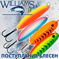 Поступление блесен Williams Wabler