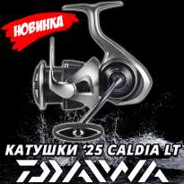 Новинка! ​Катушка Daiwa 25 Caldia LT