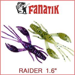 Fanatik Raider 1.6"