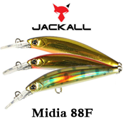 Jackall Midia 88F