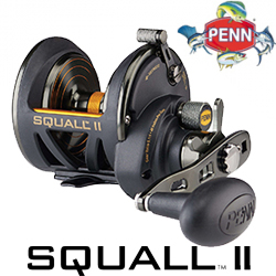 Penn SQUALL II