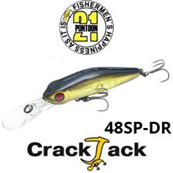 Pontoon21 CrackJack 48SP-DR