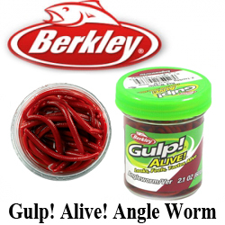 Berkley Gulp! Alive!® Angle Worm