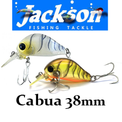 Jackson Cabua 38мм 6гр.