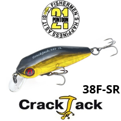 Pontoon21 Crackjack 38F-SR