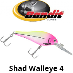 Bandit Shad Walleye 4