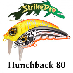 Strike Pro Hunchback 80 (EG-112B)