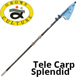 Grows Culture Tele Carp Splendid