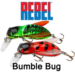 Rebel Bumble Bug