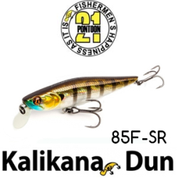 Pontoon21 Kalikana Dun 85F-SR 