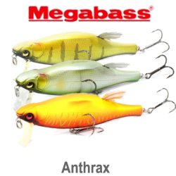 Megabass Anthrax