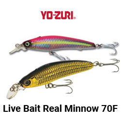 Yo-zuri Live Bait Real Minnow 70F