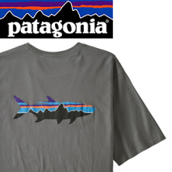 Patagonia M's Fitz Roy Fish Organic T-Shirt NGFT