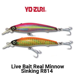 Yo-zuri Live Bait Real Minnow Sinking F814