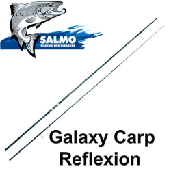 Salmo Galaxy Carp Reflexion