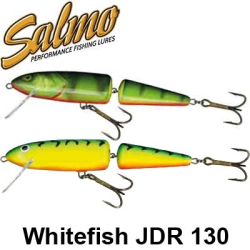 Salmo Whitefish JDR 130