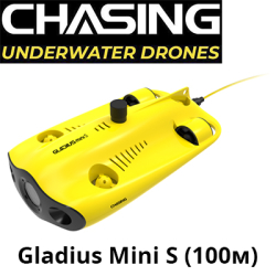 Chasing Gladius Mini S (100м) (CS7209)