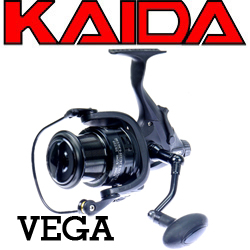 Kaida Vega BR