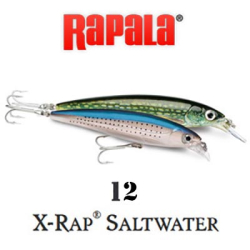 Rapala X-Rap Saltwater SXR12