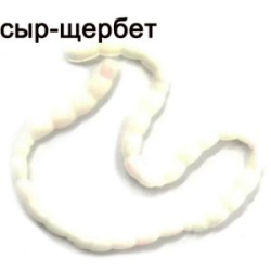 Силиконовые приманки Trout Zone Blood Worm Сыр-Щербет белый