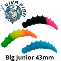 Viva Fish Big Junior 1,7"