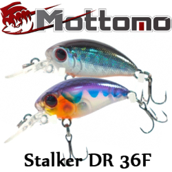 Mottomo Stalker DR 32F