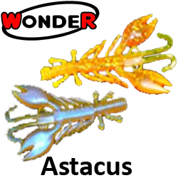 Wonder Trout Bait Astacus