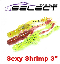 Select Shrimp 3"