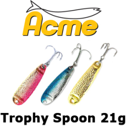 Acme Trophy Spoon 21гр.