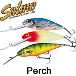 Salmo Perch