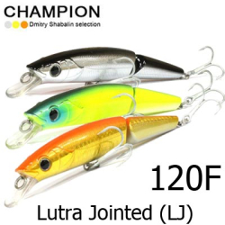 Champion 8012 LJ 120F 