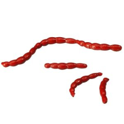 Приманка съедобная мотыль Berkley Gulp! Alive Bloodworms 1oz Red (1236977)